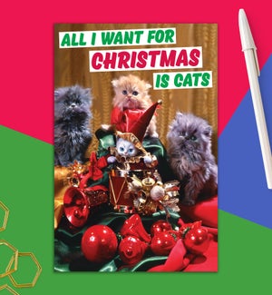 XM/All I want for Christmas